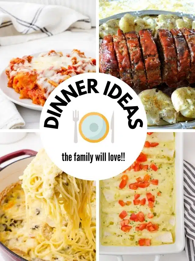 Easy Dinner Recipes for Family Dinner