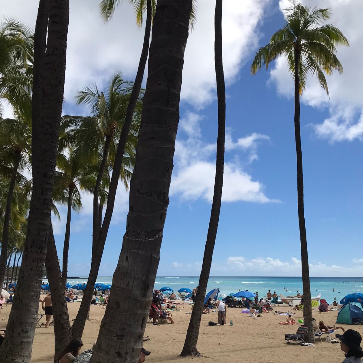 What to do in Oahu + Our Vacation Favorites