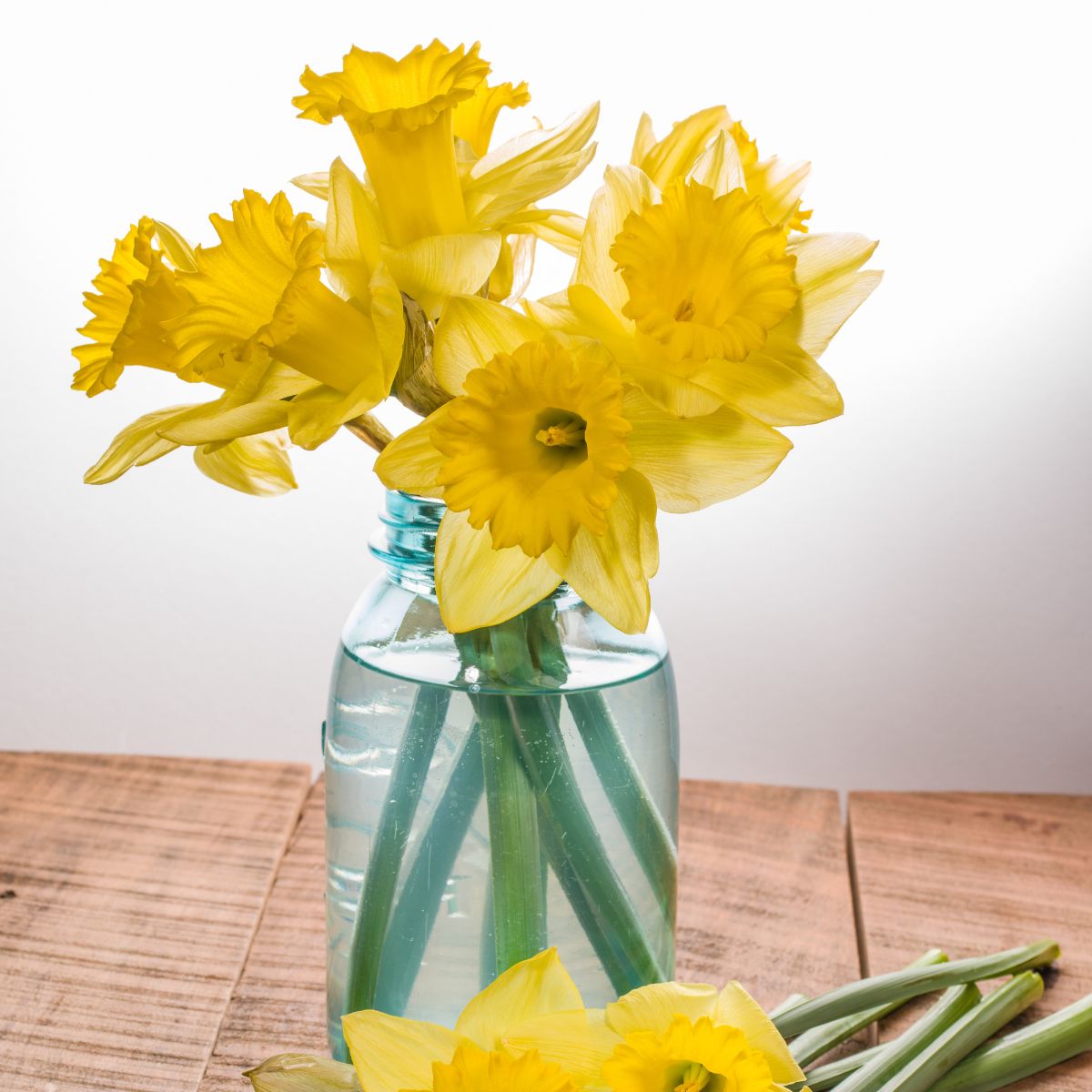 How to Make Easy Daffodil Flower Arrangements