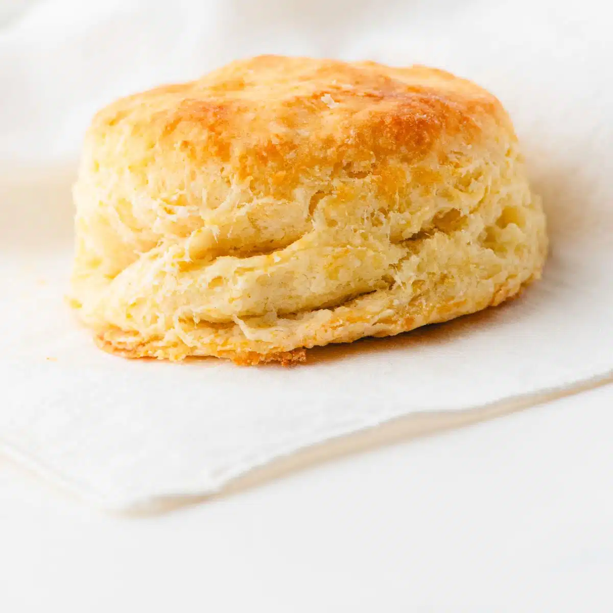 Easy Light & Fluffy Baking Powder Biscuits Recipe