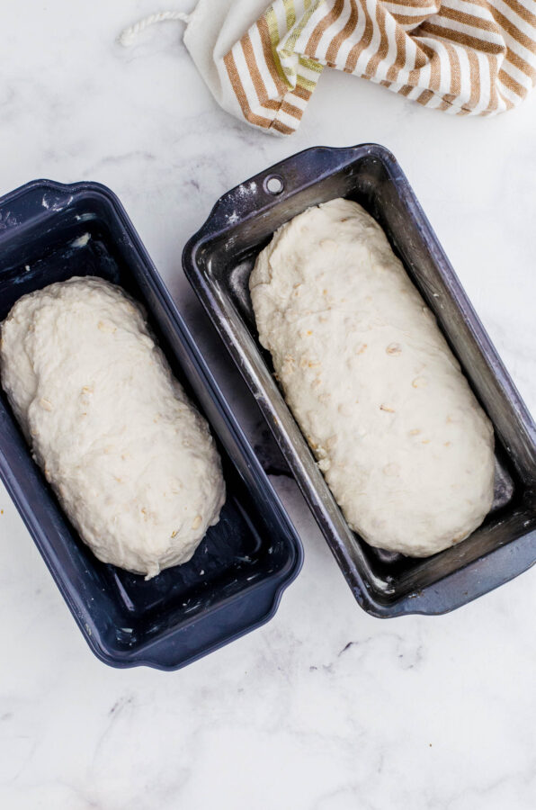 Honey oat sourdough sandwich bread in bread pans before it rises.