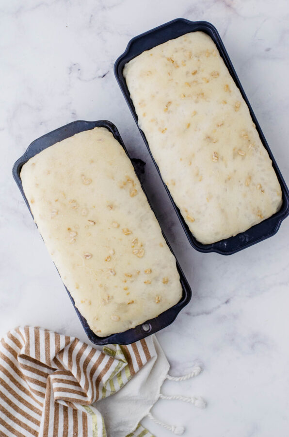 Honey oat sourdough bread that has risen and is ready to bake.