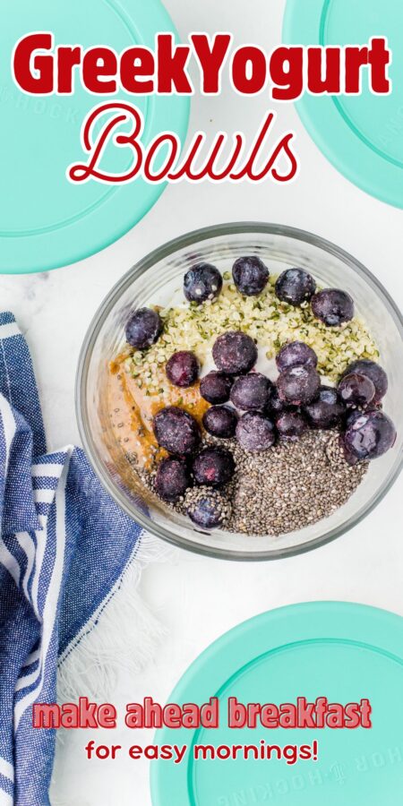 A bowl of this greek yogurt bowl recipe with blueberries on the top.