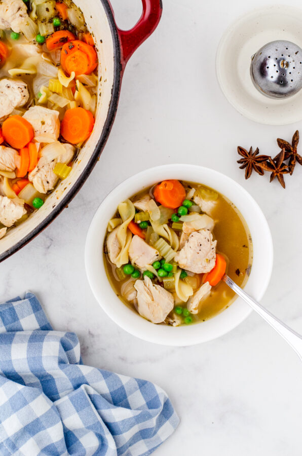 A bowl of chicken noodle soup next to a pot of chicken noodle soup and some star anise pieces to the side.