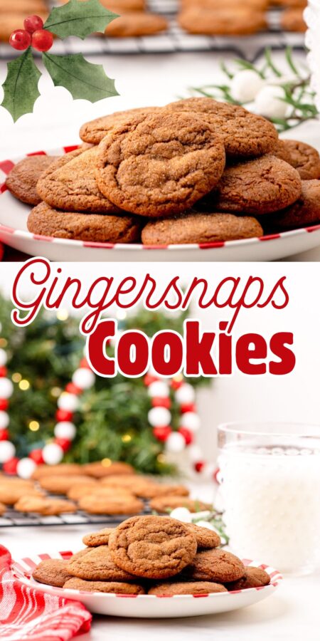Plate of Gingersnaps Cookies