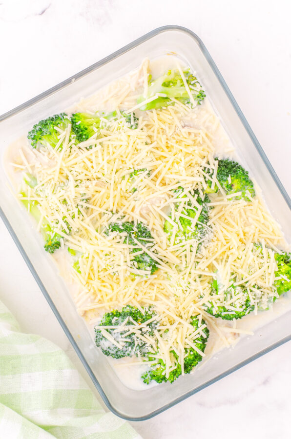 Brocolli chicken alfredo casserole in baking dish ready to bake.