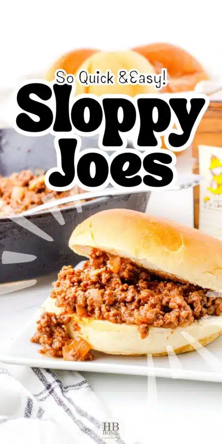 A sloppy joe on a dinner plate.